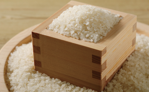 米 10kg 【 令和7年産 】 四万十 の こしひかり 5kg ×2袋 国産 1等米 予約 コシヒカリ 精米 お米 白米 ごはん ご飯 おいしい ふっくら もちもち 高知県 高知 四万十市 しまんと 土佐 R8-149