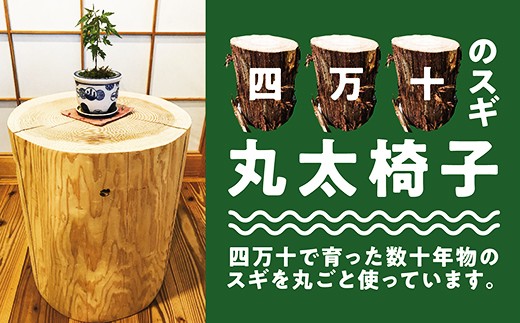 R5-544．四万十で育った数十年物の杉を丸ごと使った丸太イス