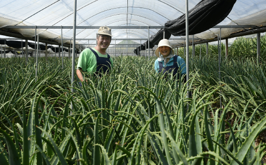 23-701．濃厚な100％エキス・四万十産有機キダチアロエ使用「四万十アロエナチュラルエキス100％ 720ml（1本）」