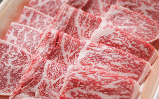 【ギフト用（包装・のし対応）】R5-001G．幻のメス牛 四万十牛特選焼肉（約400ｇ）