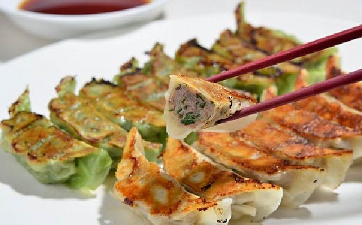 R5-013．家(うち)に来る“高知” ジューシーな具をぎっしり詰めた手づくり!!　四万十ひすい餃子・一本釣りかつお餃子（8ヶ×2パック×2種）　タレ付き　にんにく不使用！