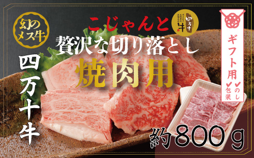 【ギフト用（包装・のし対応）】R5-019G．幻のメス牛　四万十牛こじゃんと贅沢な切り落とし（焼肉用・800ｇ）