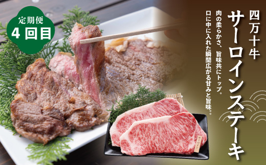4ヵ月連続 定期便 四万十市 人気 魚介 ＆ お肉 返礼品 第2弾 冷凍 4回 うなぎ 鰻 蒲焼 かつお 鰹 たたき 黒毛和牛 牛肉 肉 サーロイン ステーキ 特選 贅沢 グルメ ごちそう 高知 四万十 しまんと 鶏肉 チキン R7-846