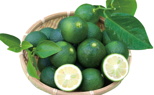 久保田食品 四万十ぶしゅかんアイスキャンデー 10本 入り 冷菓 菓子 冷凍 冷凍便 アイス アイスキャンデー スイーツ おやつ おいしい フルーツ 柑橘 果汁 四万十市産 ぶしゅかん 人気 おすすめ グルメ ご当地 お取り寄せ ギフト 夏ギフト お中元 お歳暮 贈答 25-443