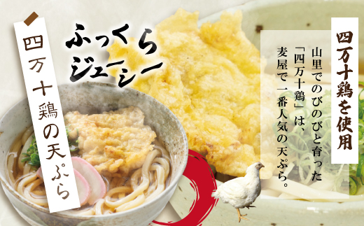 R5-798．四万十うどんと四万十鶏の天ぷら5食セット