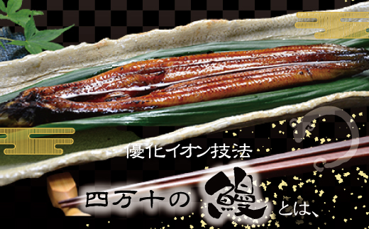 R5-006．四万十川優化イオンうなぎ蒲焼2尾（ボイル肝、たれ付き）