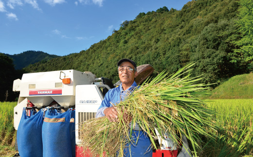 24-895．【令和6年産新米・早期受付】四万十市の中山間地域の里山で育まれる貴重なお米「しまんとのお米（ヒノヒカリ）」10kg（5kg×2箱）【2024年11月中旬より順次発送】