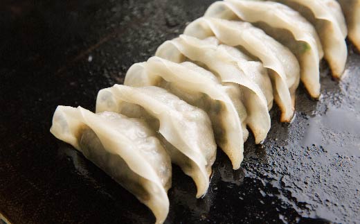 26-1023．家(うち)に来る“高知” ジューシーな具をぎっしり詰めた手づくり!!　一本釣りカツオ餃子（8ケ入×8パック）・たれ付き　にんにく不使用！