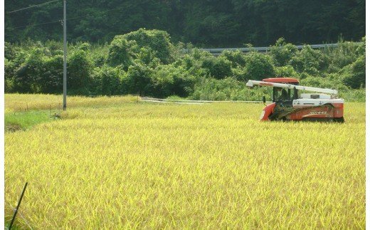 23-154．【令和5年産・3回定期便】香り米ヒエリ入りオリジナルブレンド米「四万十のかおり」10kg×3回（合計30kg）