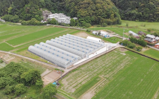 【 山﨑生姜農園 】 生姜農家 が作った 至高の 生姜ジャム 万能 調味料 生姜焼き ヨーグルトやアイスクリームにも合う 生姜 しょうが ショウガ ジンジャー ジャム 濃厚 きび糖 加工品 食品 グルメ 高知県 高知 四万十市 四万十 しまんと 26-326