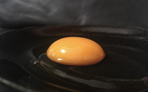 R5-1062．土佐ジロー卵を贅沢に使ったいちえんプリン（土佐ジローの濃厚プリン）6個（3個入り×2箱）