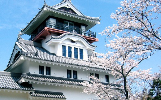 26-957．四万十市おもてなしタクシー②「小京都中村を散策コース」2時間