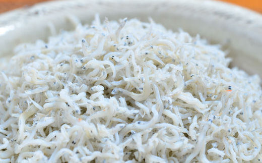 26-411．【4ヵ月連続定期便】四万十市人気魚介返礼品を集めた定期便