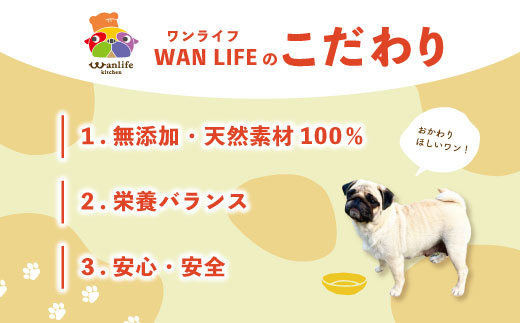 23-430．【3回定期便】いつものごはんにかけるだけ！国産豚肉と高知野菜のビタミンたっぷりスープ 12袋セット×3回配送（合計36袋）【ペットフード】