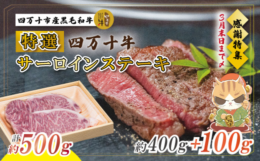 【感謝・期間限定100g付き】 ＜100個限定＞ 牧場直送 四万十牛（メス牛）特選サーロインステーキ約500g（400g＋100g）国産 高知 しまんと 四万十 四万十牛 メス牛 牧場直売 肉 牛肉 黒毛和牛 ご褒美 四万十市 贅沢 サーロイン サーロインステーキ 霜降り BBQ バーベキュー アウトドア キャンプ 焼き肉 デイキャンプ【2026年3月31日までの受付】26-980Z
