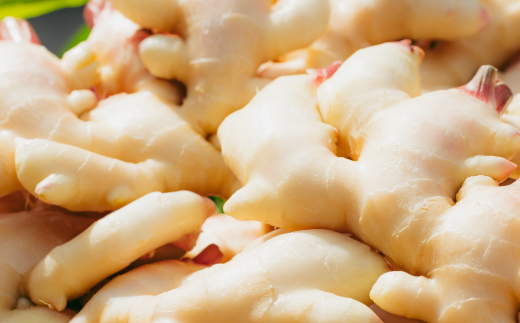 ã å±±ïšçå§èŸ²å ã çå§èŸ²å®¶ ãäœã£ã çå§ã¹ãã€ã¹ 4æ¬ ã»ãã ïŒ çå§å¡©ã»çŽ
çå§å¡©ã»ã«ãã«ãçŽ
çå§å¡©ã»çå§ããŠããŒïŒ ç²æ« ããŠããŒ èª¿å³æ ã¹ãã€ã¹ å¡© ãã çå§ ãããã ã·ã§ãŠã¬ ãžã³ãžã£ãŒ ã«ãã«ã ãã³ã㯠é«ç¥ç é«ç¥ åäžååž åäžå ããŸããš 25-328