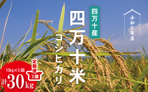 24-946．【令和6年産・3回定期便】四万十産 四万十米（コシヒカリ）10kg（5kg×2袋）×3回（計30kg）