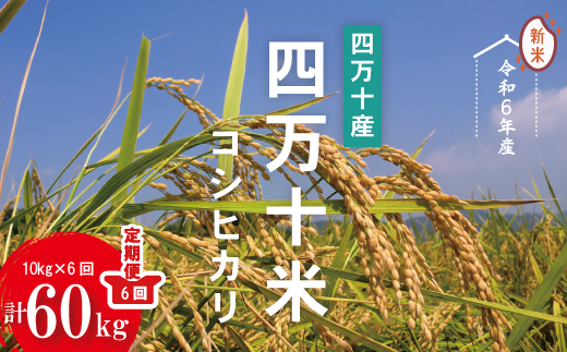 24-947．【令和6年産新米・6回定期便】四万十産 四万十米（コシヒカリ）10kg（5kg×2袋）×6回（計60kg）