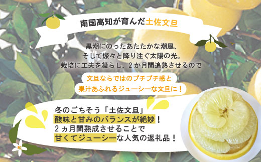 ãæ©æåä»ã»æ°ééå®ãçæã®åäœææŠ5kg å®¶åºçš äºçŽ å
è¡ å
è¡åä» æ©æ æ©æåä» æ°ééå® 2026幎é
é å®¶åºçš 5kg å€§äººæ° ãªããŒã¿ãŒ éå® åœç£ ãã«ãŒã æç© æ¬ ææŠ ã¶ããã ãã³ã¿ã³ åäœææŠ ææ© ææ©é¡ ãªã¹ã¹ã¡ åäžååž åäžå ããŸããš é«ç¥ç é«ç¥ ååœ åäœ ååœ ç£å°çŽé 蟲家çŽé ãåãå¯ã éæç¡æ ã2026幎2æäžæ¬ããçºéãR7-551