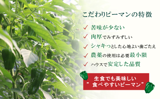 èŠå³ãå°ãªããŠããããïŒé«èŠèŸ²åã®ãã ããã»æ°é®®ããŒãã³1kg æ°é®® éè ããžã¿ãã« ãããã èŠå³ãå°ãªã ããŒãã³ ãŽãŒãŸã ããŠã¹ ããŠã¹ããŒãã³ ããŠã¹æ œå¹ æ£è ããã åœç£ ç£å°çŽé æ¬ é«ç¥ç é«ç¥åäžååž åäžå ããŸããšãçºéææïŒ10æïœ6æã26-0036