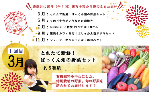 24-613．【年末限定】【5回定期便】四万十の人気グルメお楽しみ定期便 しまんとふるさと定期便5万円Aコース