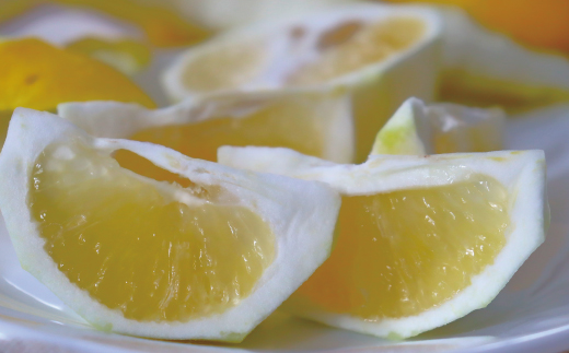 小夏 約 5kg 18～30個 高知県産 四万十市産 贈答用 ギフト 【 早期受付 数量限定 】先行 予約 ハウス栽培 こなつ コナツ 柑橘 フルーツ 果物 高知県 高知 四万十市 四万十 しまんと お取り寄せ 【 2026年5月下旬～6月下旬発送】25-1063