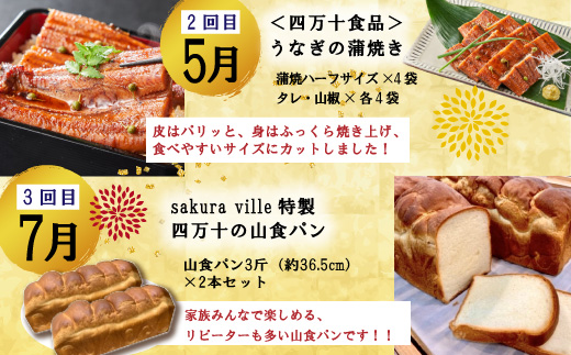 24-613．【年末限定】【5回定期便】四万十の人気グルメお楽しみ定期便 しまんとふるさと定期便5万円Aコース