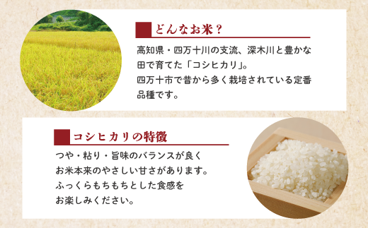 R6-149．【令和6年産新米・早期受付】四万十のこしひかり10kg（5kg×2袋）【2024年9月より順次配送】