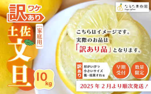 24-724．【訳あり】【早期受付・期間限定・数量限定】＼旬の味覚／甘味と酸味がまろやかに溶け合う！四万十市産・土佐文旦10kg（家庭用）【配送時期：2025年2月～3月中旬】