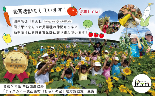 【 早期受付 4回定期便 】 とれたて 新鮮 ！ぱっくん畑のおくりもの 農家直送 秋・冬 野菜セット 約5種類 国産 野菜 やさい ベジタブル 先行 予約 高知県 高知 しまんと 四万十市 野菜便 限定 お取り寄せ 秋野菜 冬野菜 【2026年11月～2027年2月まで毎月1回配送】26-055