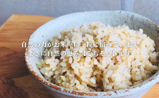 【令和7年産】四万十市産 コシヒカリ 玄米 5kg 栽培期間中農薬・ 化学肥料・除草剤不使用 国産 こしひかり 2025年産 米 こめ コメ ご飯 高知 四万十 しまんと 農家直送 蕨岡の百姓 福留壯 オーガニック 25-0015