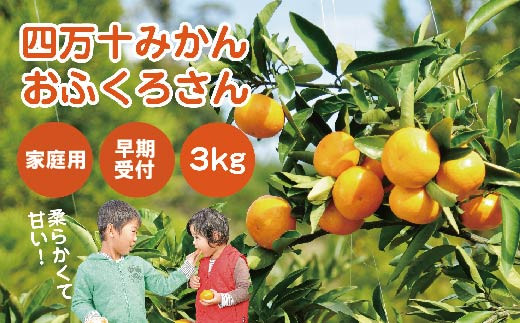 24-1064．【早期受付・数量限定】農家直送！四万十みかん《おふくろさん》3kg【家庭用】【2024年11月中旬より順次配送】