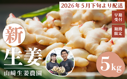 早期受付 期間限定 みずみずしさがたまらない 新生姜 約5kg【2026年5月下旬～9月上旬配送】高知県 高知 四万十市 四万十 しまんと 農作物 特産 しょうが 生姜 ショウガ 野菜 旬 新鮮 国産 先行 予約 ジンジャー 25-819
