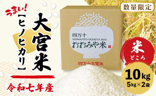 【令和7年産 数量限定】 四万十 の 米どころ 山間地域で育てた 大宮米 ヒノヒカリ 10kg 高知県 高知 しまんと 国産 お米 米 白米 精米 ひのひかり 低農薬栽培 ご飯 産地直送 26-789