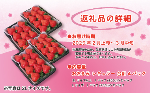 24-773．【早期受付・数量限定】苺の貴婦人おおきみ(レギュラー)4パック【2025年2月より順次発送予定】