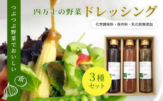 つぶつぶ 野菜 で おいしい 四万十の野菜 ドレッシング 3種 セット（とまと・玉葱・生姜） サラダ 調味料 ベジタブル ギフト お中元 お歳暮 贈答 高知 四万十 しまんと【 化学調味料 保存料 乳化剤 無添加 】26-0037