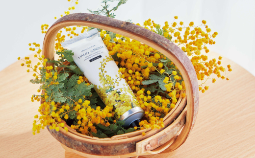 ã ãã¢ãã¢ã¶ ãã ã®ããç®±å
¥ ã ãã¢ãã¢ã¶ ãã³ãã¯ãªãŒã ïŒ ãã³ãã¯ãªãŒã³ãžã§ã« ïŒ ãã³ããœãŒã å1æ¬ ãã³ãã±ã¢ ã»ãã åç²§ç®± ã®ããç®± ãã¢ã¶ ã ãµããã æãããéŠã ã®ãã ãã¬ãŒã³ã èŽç çŸå®¹ ã³ã¹ã¡ é«ç¥ç é«ç¥ åäžååž åäžå ããŸããš 26-77