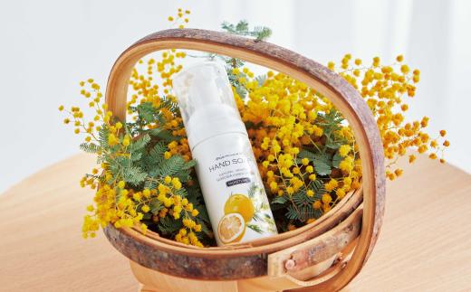 【 ミアミモザ 】【 ギフト箱入 】 ミアミモザ ハンドクリーンジェル ＆ ハンドソープ 各1本 セット 化粧箱 ギフト箱 ミモザ が ふんわり 柔らかく香る ギフト プレゼント 贈答 美容 コスメ 高知 四万十市 四万十 しまんと 25-76