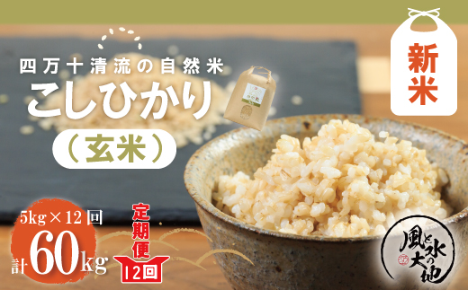 24-438．【令和6年産新米・早期受付・12回定期便】四万十清流の自然米（コシヒカリ）玄米5kg×12回配送（合計60kg）【2024年9月より順次配送】