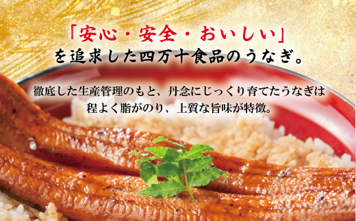 23-1037．【3回定期便】3ヵ月連続＜四万十食品＞うなぎ蒲焼きざみ10袋(合計450ｇ)／Ｋ10