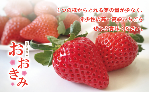 24-774．【早期受付・数量限定】苺の貴婦人おおきみ(化粧箱)2箱【2025年2月より順次発送予定】