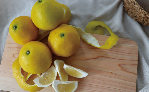 小夏 約 5kg 18～30個 高知県産 四万十市産 贈答用 ギフト 【 早期受付 数量限定 】先行 予約 ハウス栽培 こなつ コナツ 柑橘 フルーツ 果物 高知県 高知 四万十市 四万十 しまんと お取り寄せ 【 2026年5月下旬～6月下旬発送】25-1063