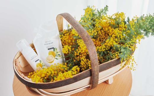 ã ãã¢ãã¢ã¶ ãã ã®ããç®±å
¥ ããã¢ãã¢ã¶ ãã³ããœãŒã ïŒ è©°ãæ¿ã ã¬ãã£ã« ã»ãã å1å åç²§ç®± ã®ããç®± 倩ç¶éŠæ ã ãµããã åºãã ææŽã ã®ãã ãã¬ãŒã³ã çŸå®¹ ã³ã¹ã¡ é«ç¥ç é«ç¥ åäžååž åäžå ããŸããš 25-73