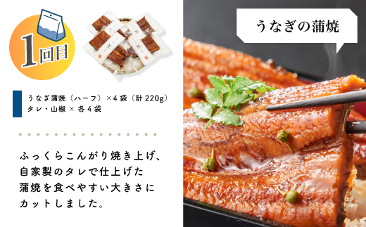 【 3回 お届け 】 便利 でうれしい！ 小分け 定期便 毎月届く 小分けパック ストック 保存食 冷凍 冷凍食品 惣菜 おかず パン 冷凍パン 食パン うなぎ 鰻 ハンバーグ お弁当 弁当 ごちそう 贅沢 高知 四万十市 四万十 しまんと 25-0020