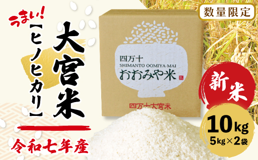 【令和7年産 新米 早期受付 数量限定】 四万十 の 米どころ 山間地域で育てた 大宮米 ヒノヒカリ 10kg 高知県 高知 しまんと 国産 お米 米 白米 精米 ひのひかり 低農薬栽培 ご飯 産地直送 【2025年10月中旬より順次配送】25-789
