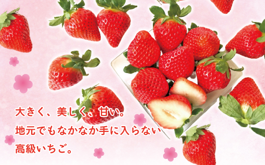 ã æ©æåä» æ°ééå® ã èº ã®è²Žå©Šäºº ãããã¿ ã¬ã®ã¥ã©ãŒ 4ãã㯠ãã«ãŒã æç© ãã¡ã ã¹ããããªãŒ é«çŽ äººæ° å€§ç² ãã¬ãã¢ã éå®å é«ç¥ç é«ç¥ åäžååž åäžå ããŸããš ãåãå¯ã ã2026幎2æããé æ¬¡çºéäºå®ã25-773