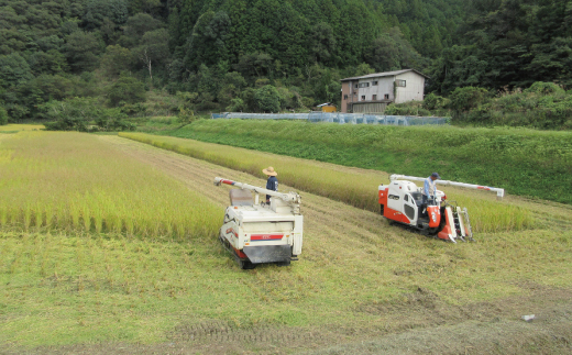 ã什å7å¹Žç£ æ°ééå®ã åäžå ã® ç±³ã©ãã å±±éå°åã§è²ãŠã 倧宮米 ã³ã·ãã«ãª 10kg é«ç¥ç é«ç¥ ããŸããš åœç£ ãç±³ ç±³ çœç±³ 粟米 ããã²ãã äœèŸ²è¬æ œå¹ ã飯 ç£å°çŽé 25-305