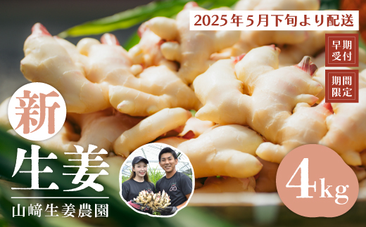 24-818．【早期受付・期間限定】みずみずしさがたまらない！新生姜約4kg【2025年5月下旬～9月上旬配送】