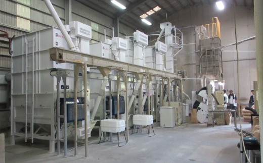 ã什å7å¹Žç£ æ°ééå®ã åäžå ã® ç±³ã©ãã å±±éå°åã§è²ãŠã 倧宮米 ã³ã·ãã«ãª 10kg é«ç¥ç é«ç¥ ããŸããš åœç£ ãç±³ ç±³ çœç±³ 粟米 ããã²ãã äœèŸ²è¬æ œå¹ ã飯 ç£å°çŽé 25-305