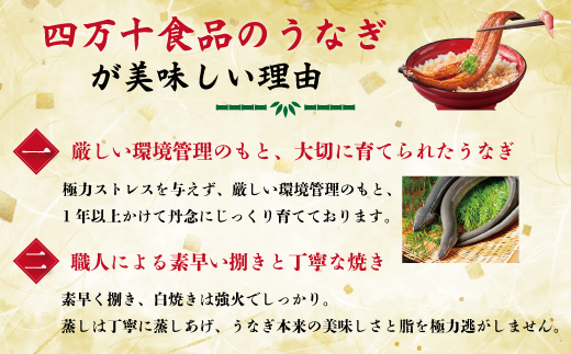 23-1033．【3回定期便】3ヵ月連続＜四万十食品＞うなぎ蒲焼きざみ5袋(合計225g) ／Ｋ5